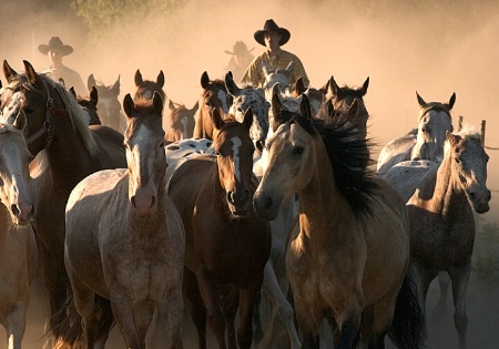 Riders In The Dust