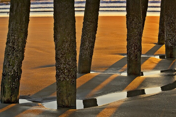 Pilings, Beach and Ocean.