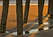 Pilings, Beach an...