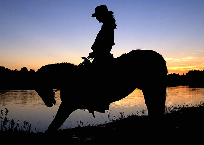 Horse Silhouette