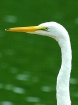 Profile Of an Egr...