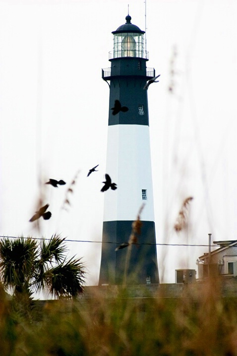 Tybee Island 10-28-04 - ID: 643982 © Robert A. Burns