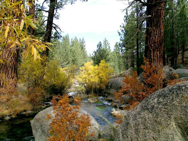 Big Springs in the Fall