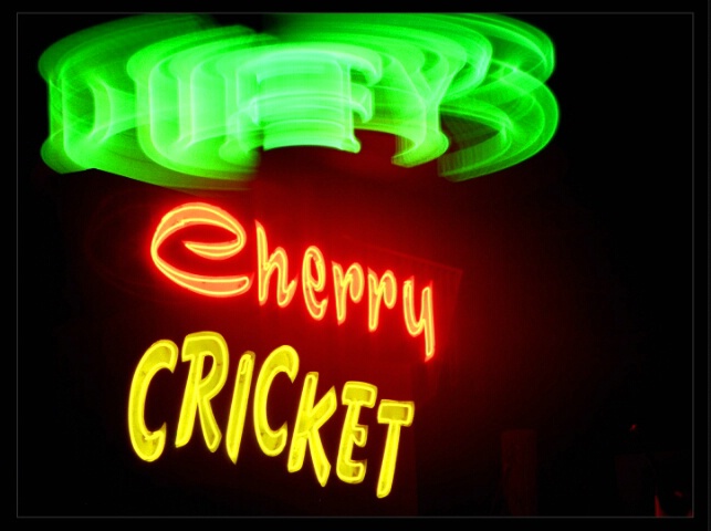 Cherry Cricket