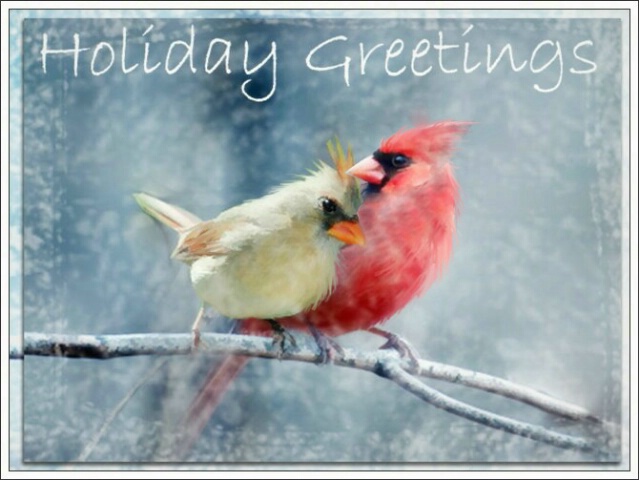 Holiday Greetings