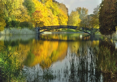  Pond, Bridge And  Reflections