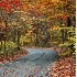 © Deborah Gillham PhotoID # 649222: The road less taken