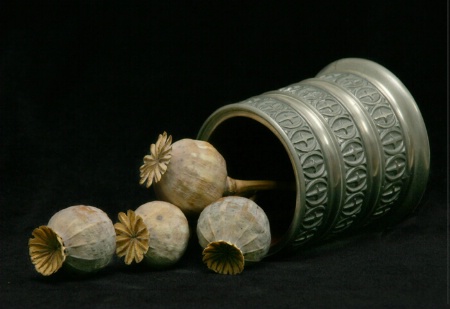 Poppies in Jar