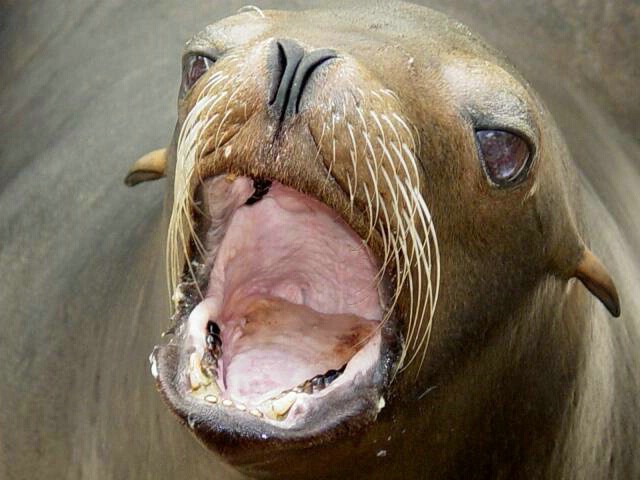 img9