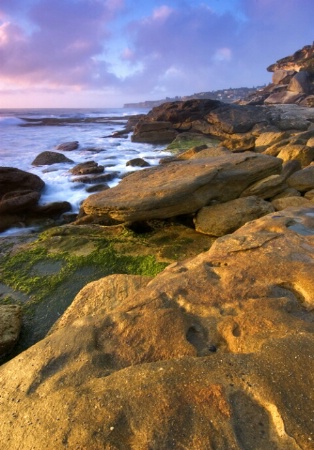 Tamarama