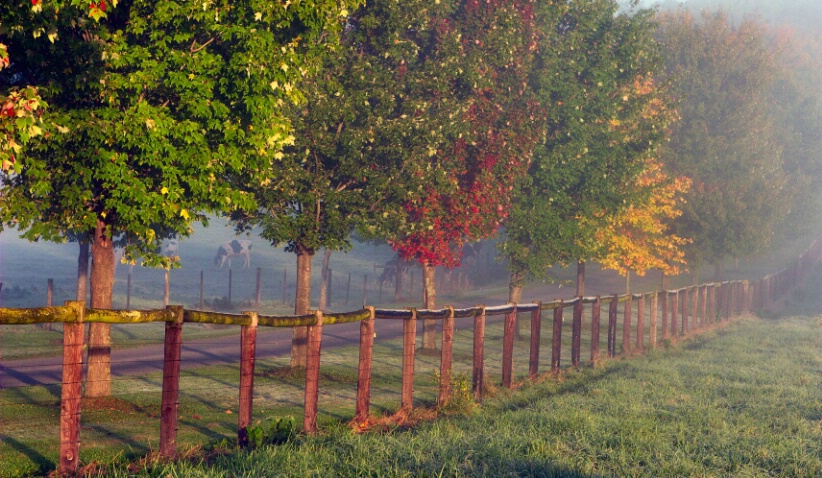 Autumn at Lucky Penny