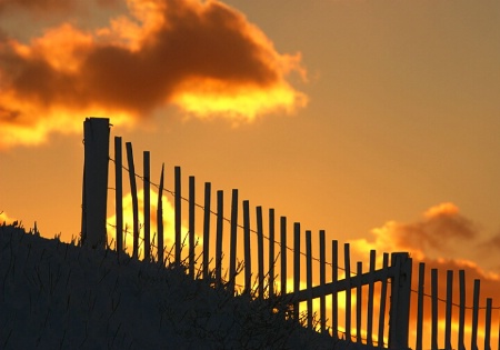 Dune Fence Sunset