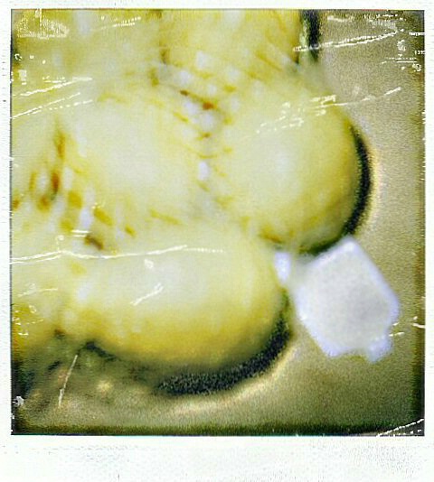 Lemons - Polaroid 600