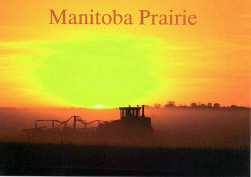 Manitoba harvest sunset - ID: 665271 © Heather Robertson