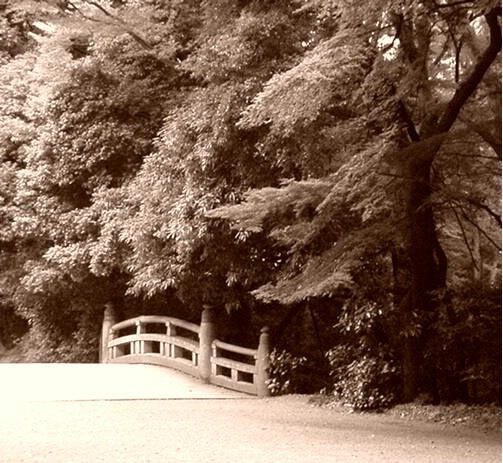 Bridge in Meiji Park
