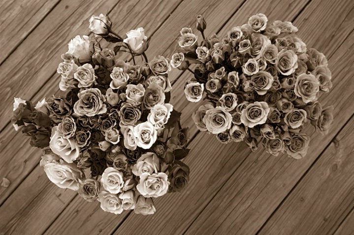 Two coffee toned rose bouquets