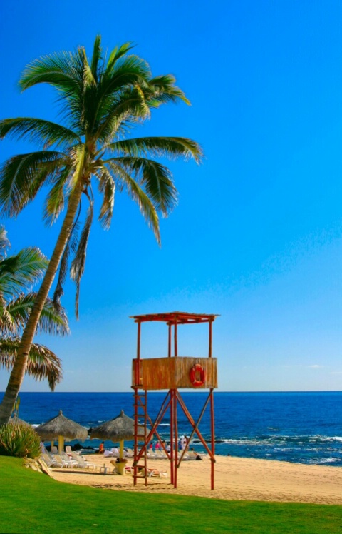 Needed: Lifeguard in Paradise