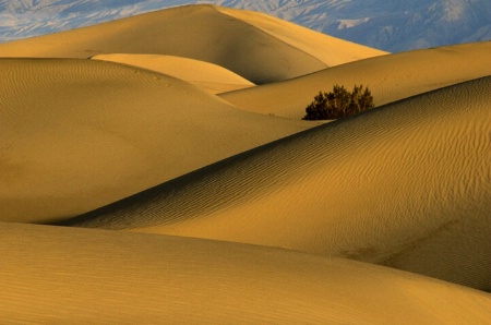 Death Valley Dunes