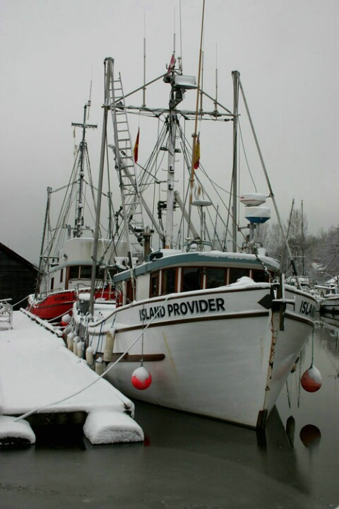 Ladner Harbour in Winter #1