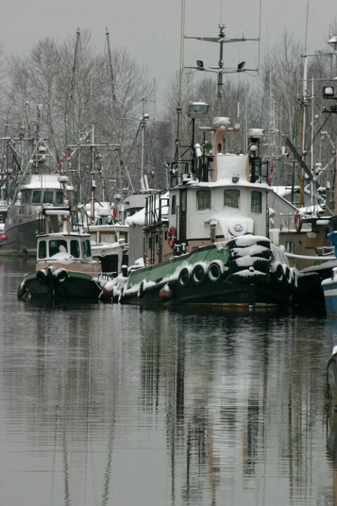 Ladner Harbour in Winter #3