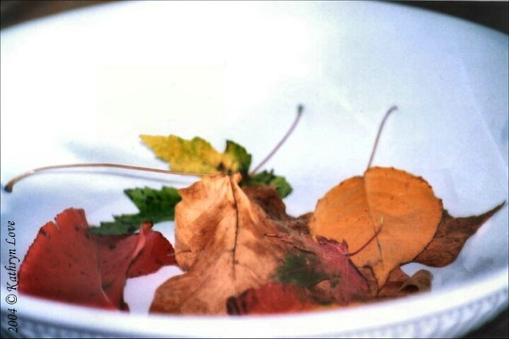 autumn still life 2