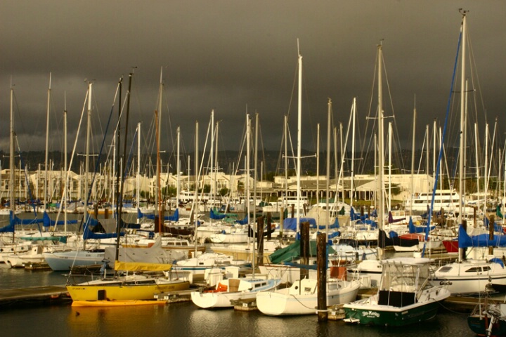 Berkeley Marina after the Storm