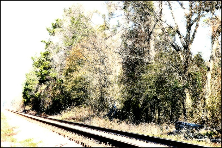 On the Edge of the Railroad Track