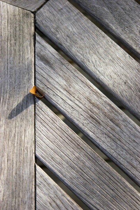Leaf Trapped in Wooden Chair