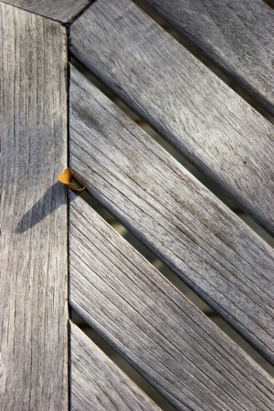Leaf Trapped in Wooden Chair