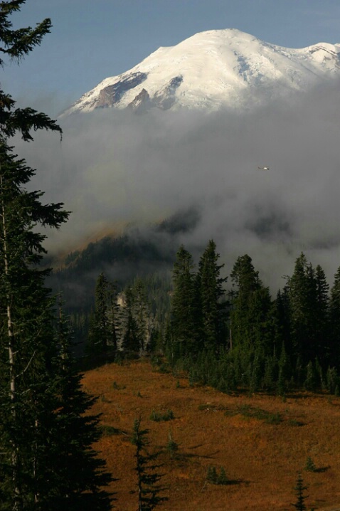 Mount Rainier with Fog and Chopper - ID: 682908 © John Tubbs