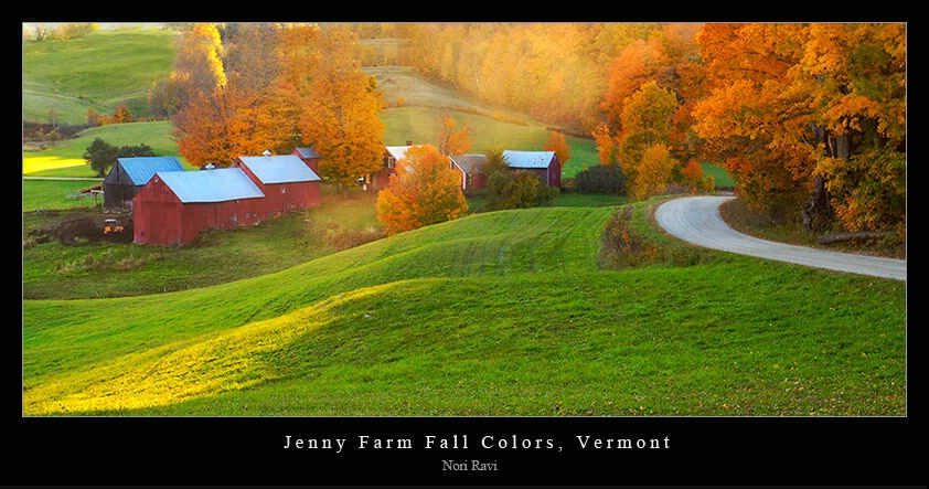 Jenny Farm Fall Colors