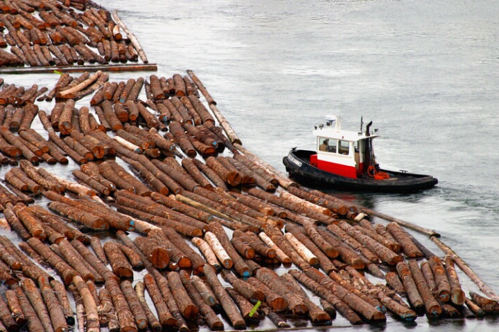 Tug steering log raft