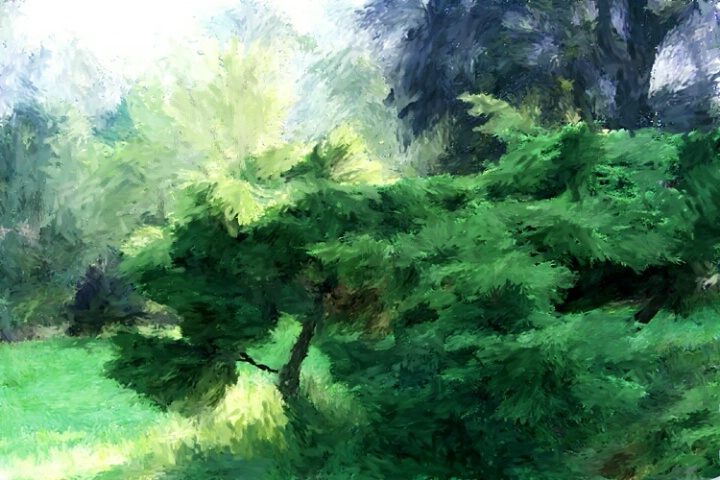Tree - Corel