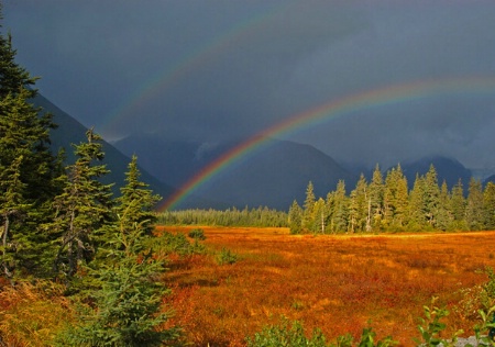 Double Rainbow