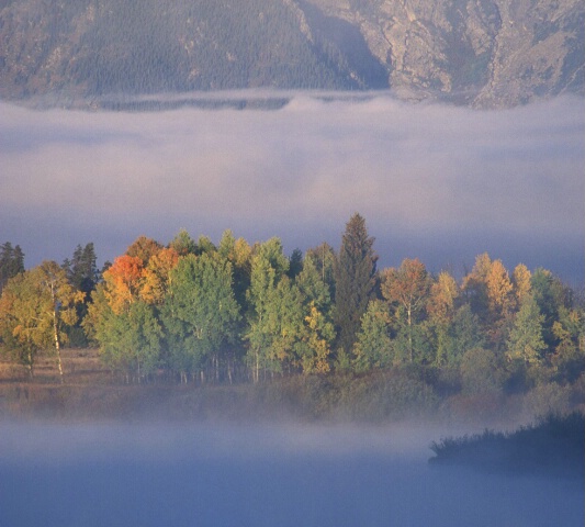 Teton Morning Fog