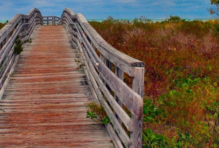 Wooden Walkway