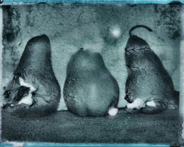 Cool Pears - Polaroid Transfer