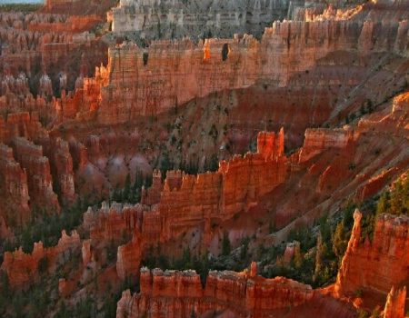 Bryce Canyon at Dawn