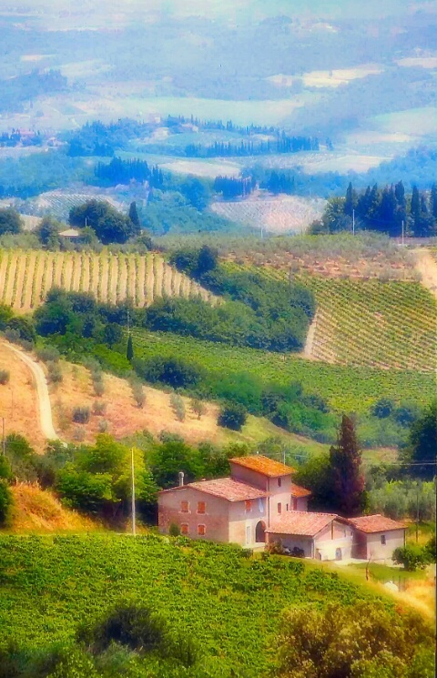 Farm House In Tuscany - ID: 689296 © Cynthia M. Wiles