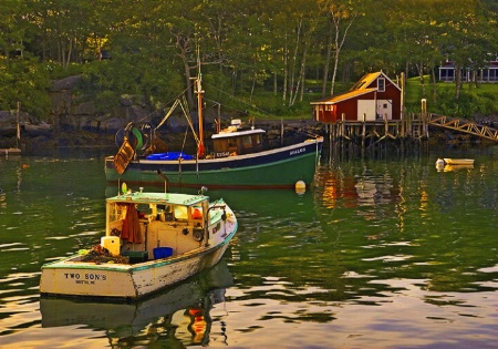 Harbor Scene