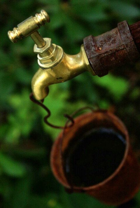 A bucket of water