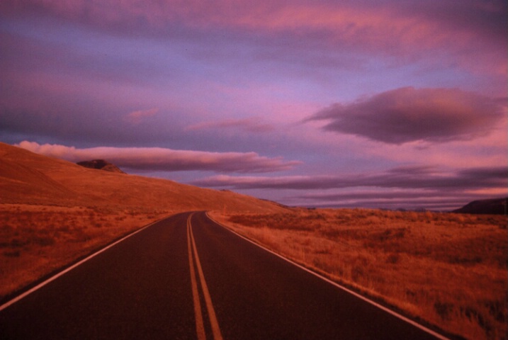 Lost Highway of Life