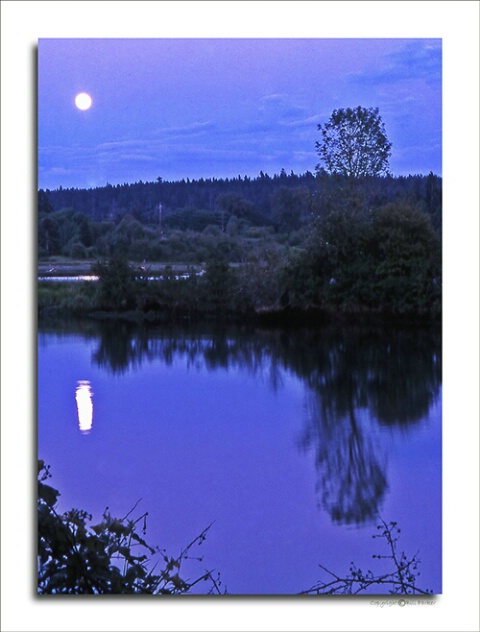 Moonlight over the Nisqually River