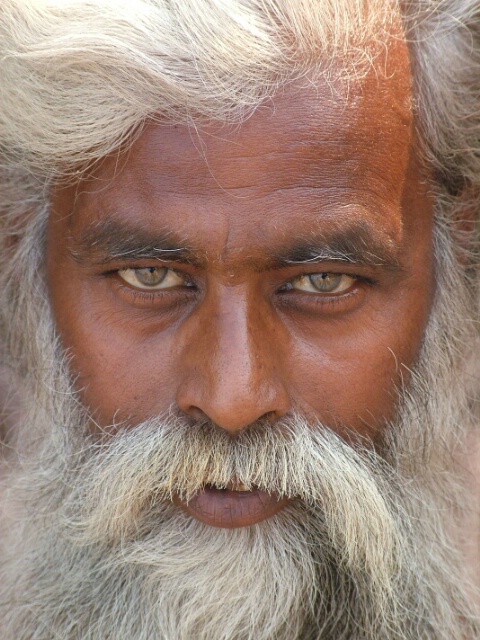 looking into the eyes of india