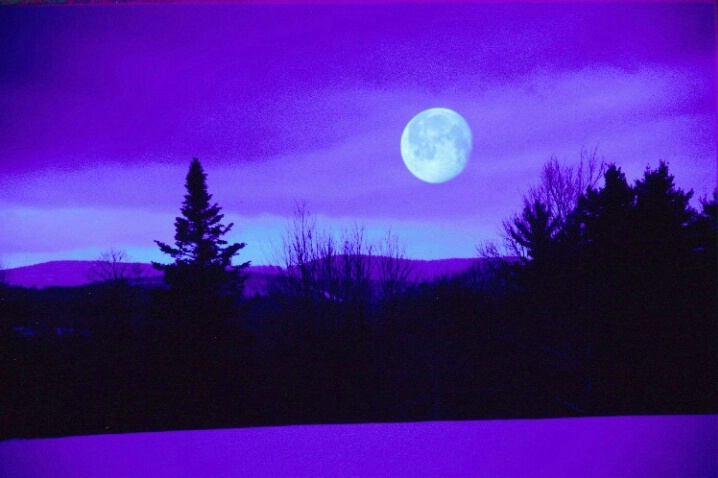 Winter-blue Moon - ID: 696984 © Deborah A. Prior