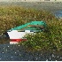 © Deborah A. Prior PhotoID# 697039: Dinghy in the Reeds