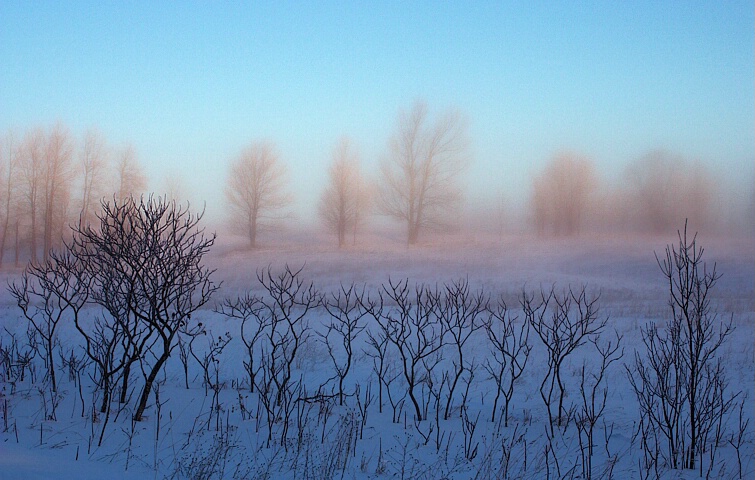 Winter Dawn