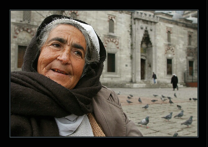 The pigeons....... A portrait of the Stranger