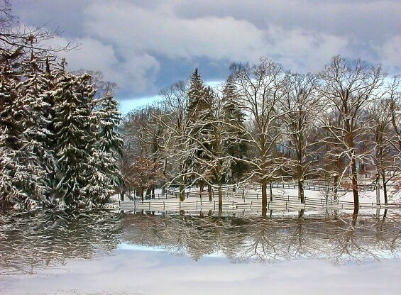 Winter Reflections II