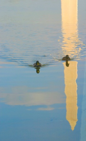 Washington DC Reflecting Pond